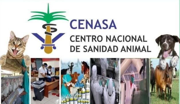Establecen regulaciones sanitarias especiales para la importación de alimentos de origen animal