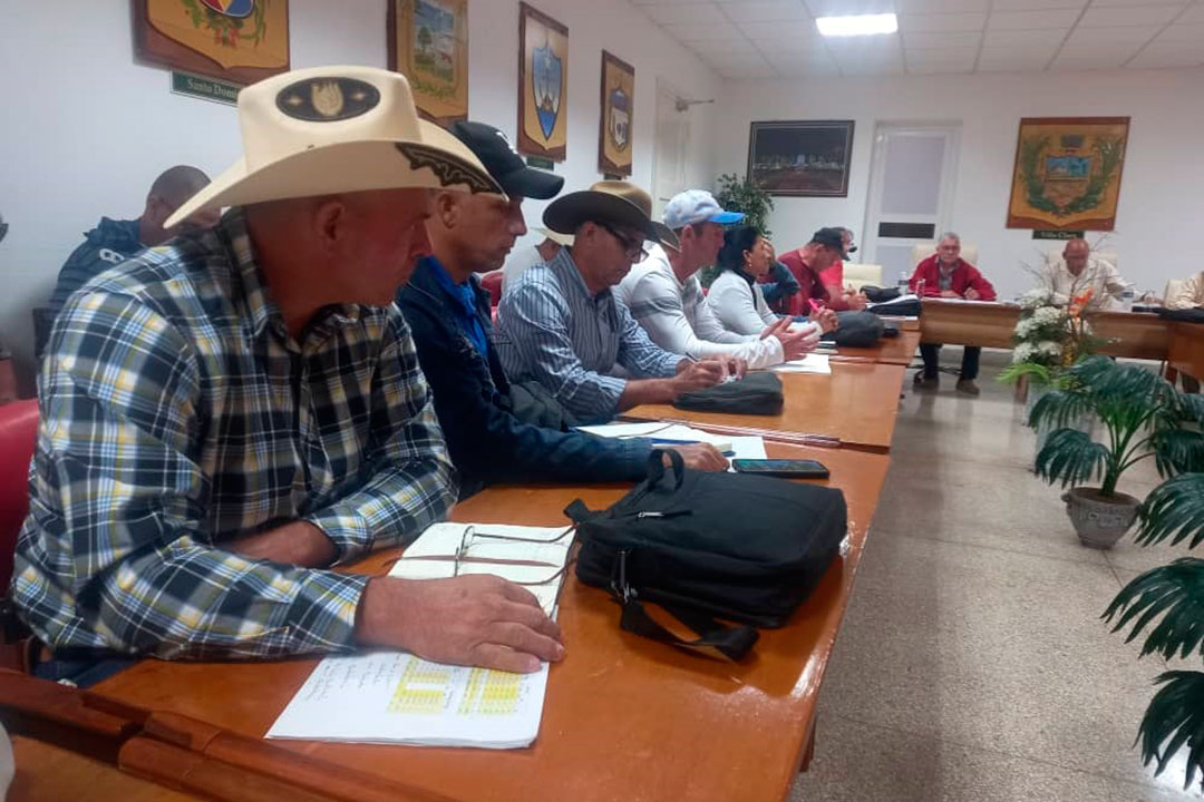 Acopio de leche en Villa Clara: incumplimiento en enero 