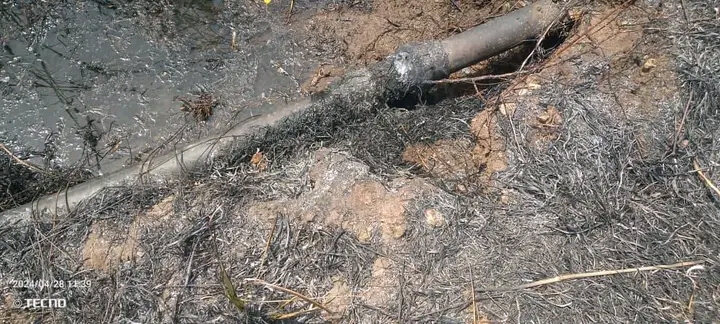 Paralizado sistema de abasto de agua Palmarito 