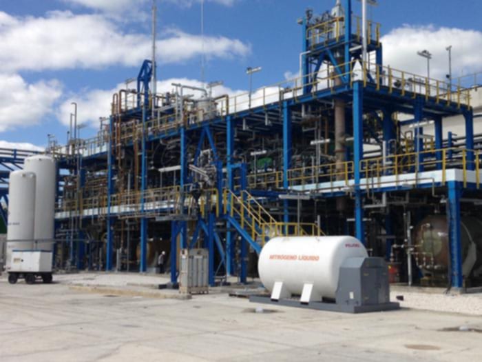 ELQUIM de Sagua la Grande, un lustro a favor del medio ambiente