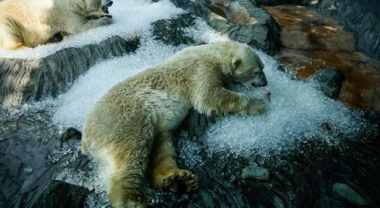 Concluye en julio racha de 13 meses de calor mundial récord al finalizar el fenómeno El Niño