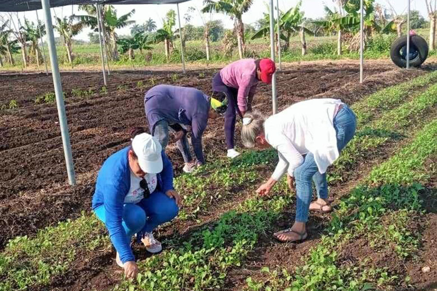 Mujeres villaclareñas realizarán trabajo voluntario previo al acto nacional de la FMC 