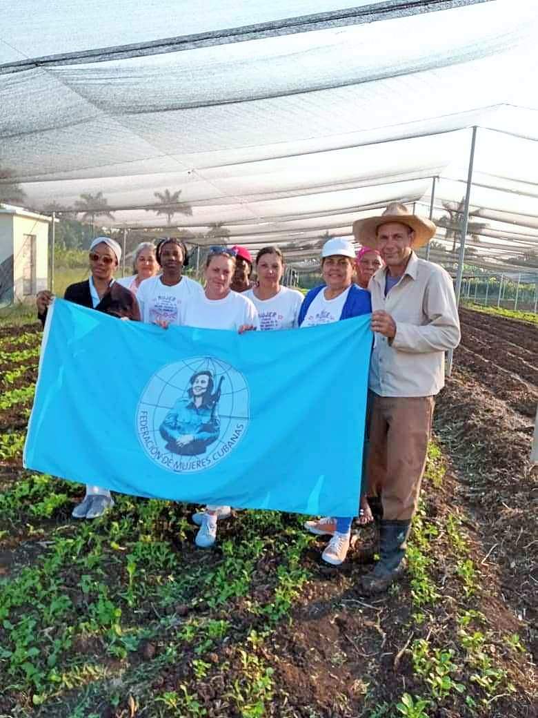 Como aporte de una inclusión sin límites, las mujeres también dejan sus huellas en las labores agrícolas. (Foto: Danay Márquez) 