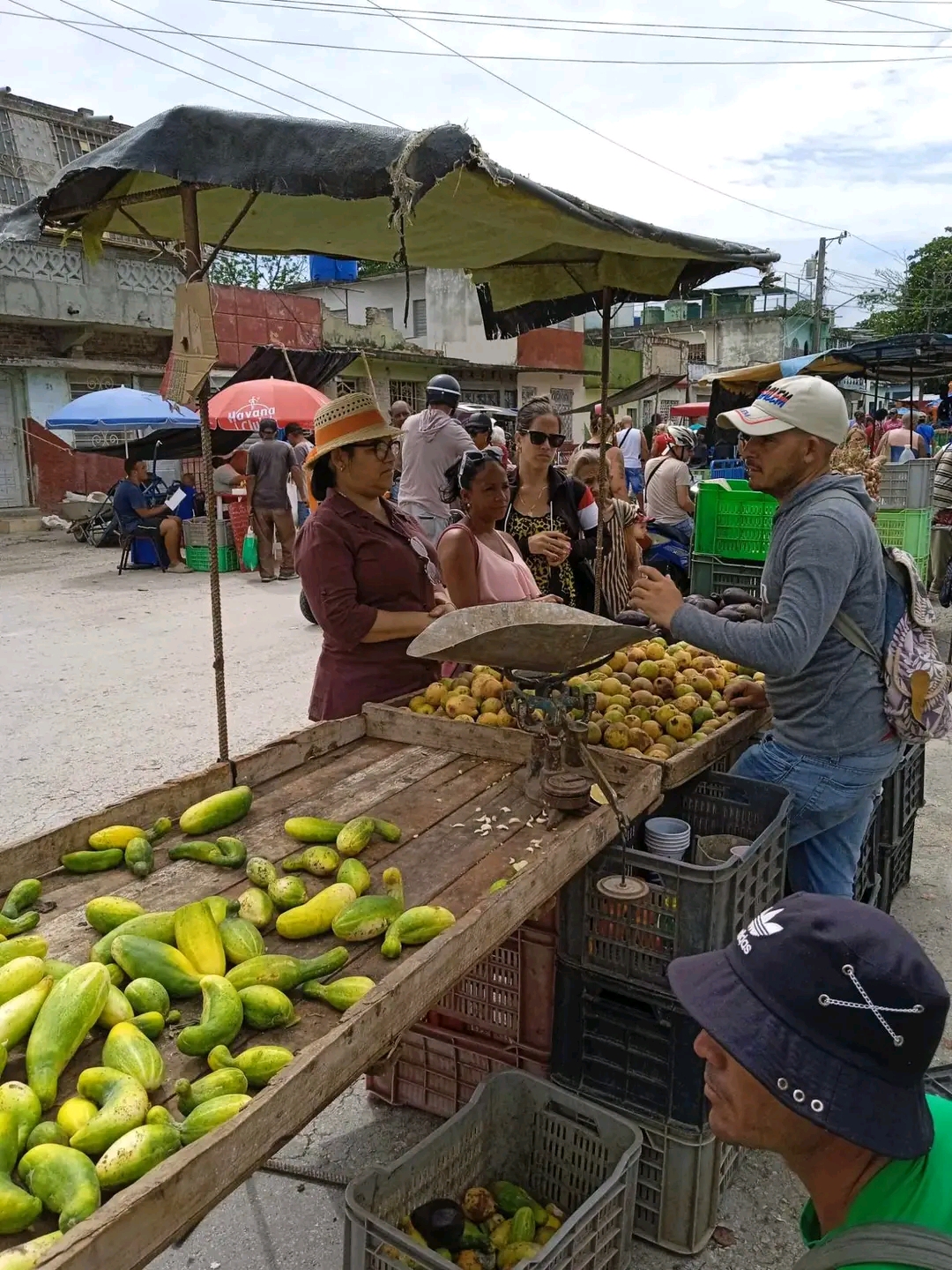Visita Gobernadora villaclareña feria agropecuaria de la capital provincial