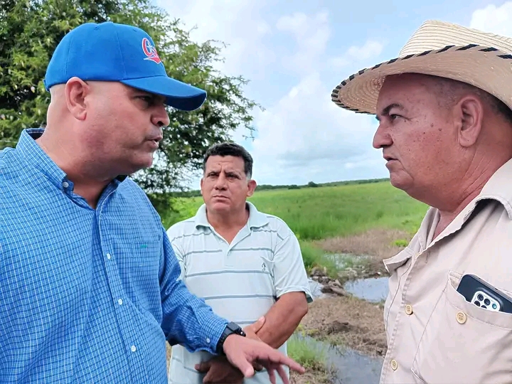 Enormes potencialidades para producir arroz en Santo Domingo