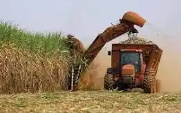 Desarrollaron sindicalistas agroazucareros villaclareños su Tercera Conferencia Provincial