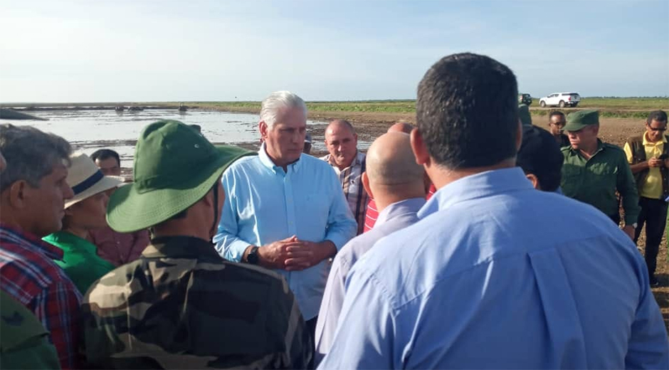 Visita Díaz-Canel áreas de proyecto arrocero en Los Palacios, Pinar del Río