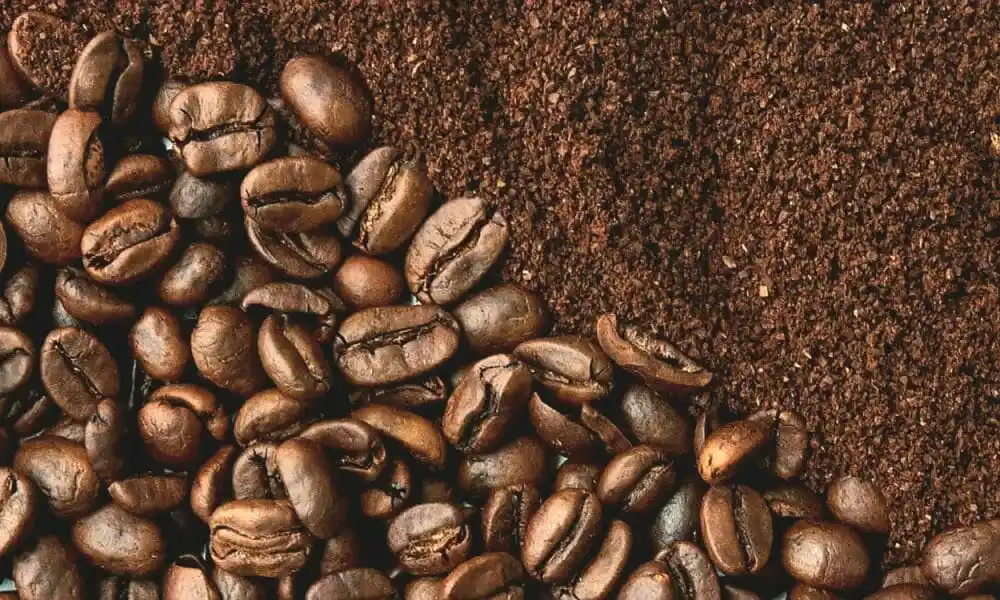 Reinician la producción de café en la torrefactora de Villa Clara. 
