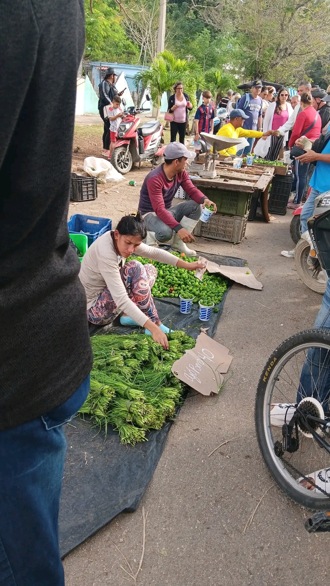 Lo que hay que hacer es toparlo todo y a todos
