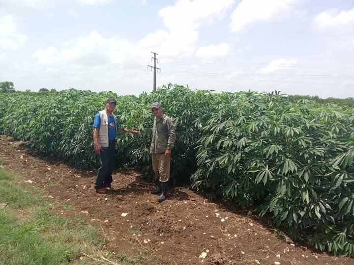 A cinco años de creada, la finca "Los Sosa" tiene historias que contar