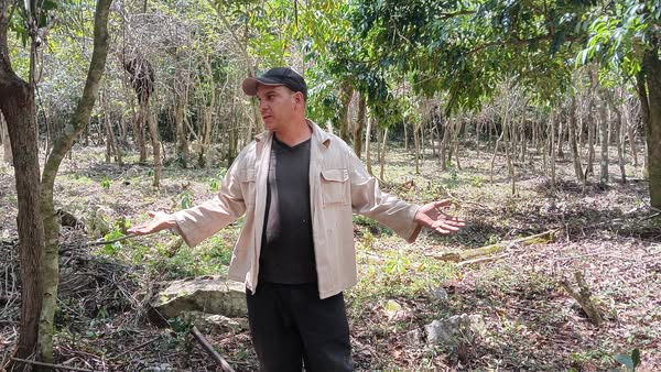 El mayor productor de café de Cuba está en Levisa