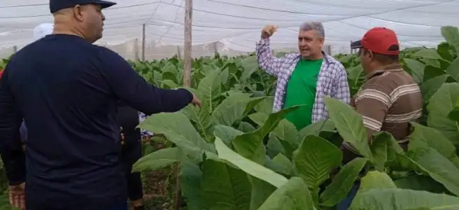 Intercambió  Osnay Miguel Colina Rodríguez con productores  de Placetas