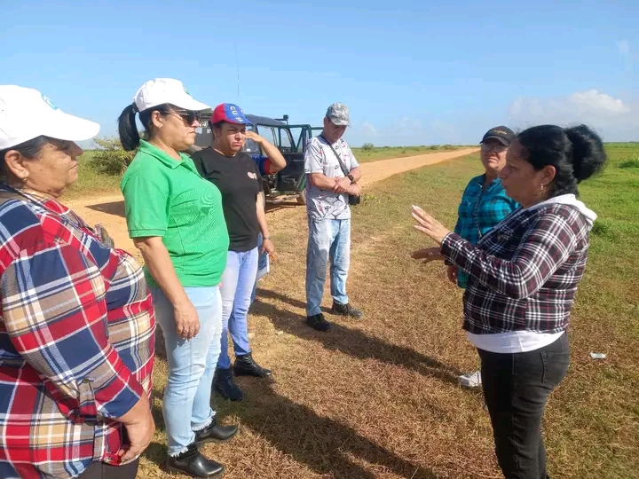 En Encrucijada no se detiene la siembra de arroz