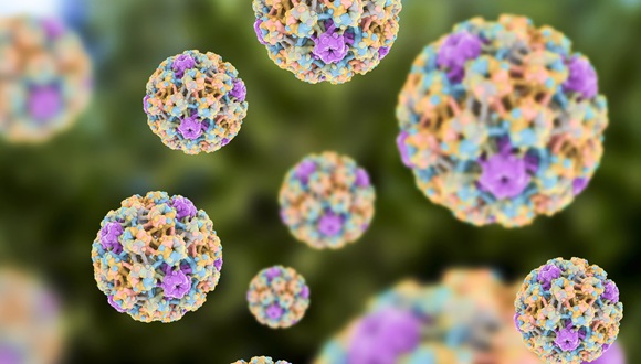 Científicos descubren relación directa entre virus del VPH y cáncer de piel