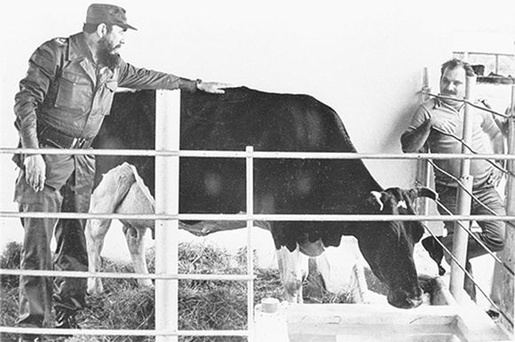 La ganadería está en deuda con Fidel