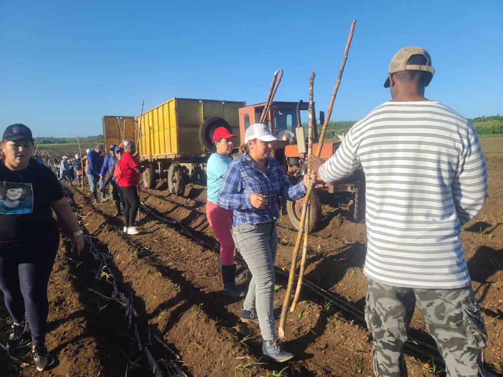 En Villa Clara, domingo de trabajo voluntario en saludo a aniversario 65 de la FMC
