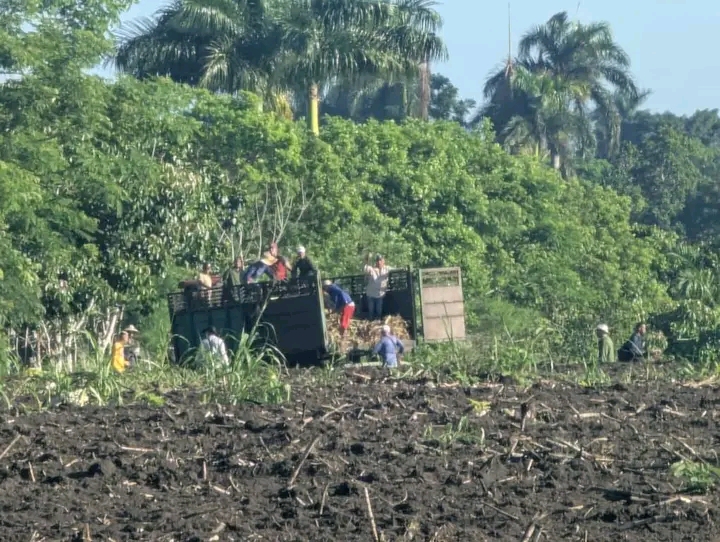 Domingo de compromisos sobre el surco