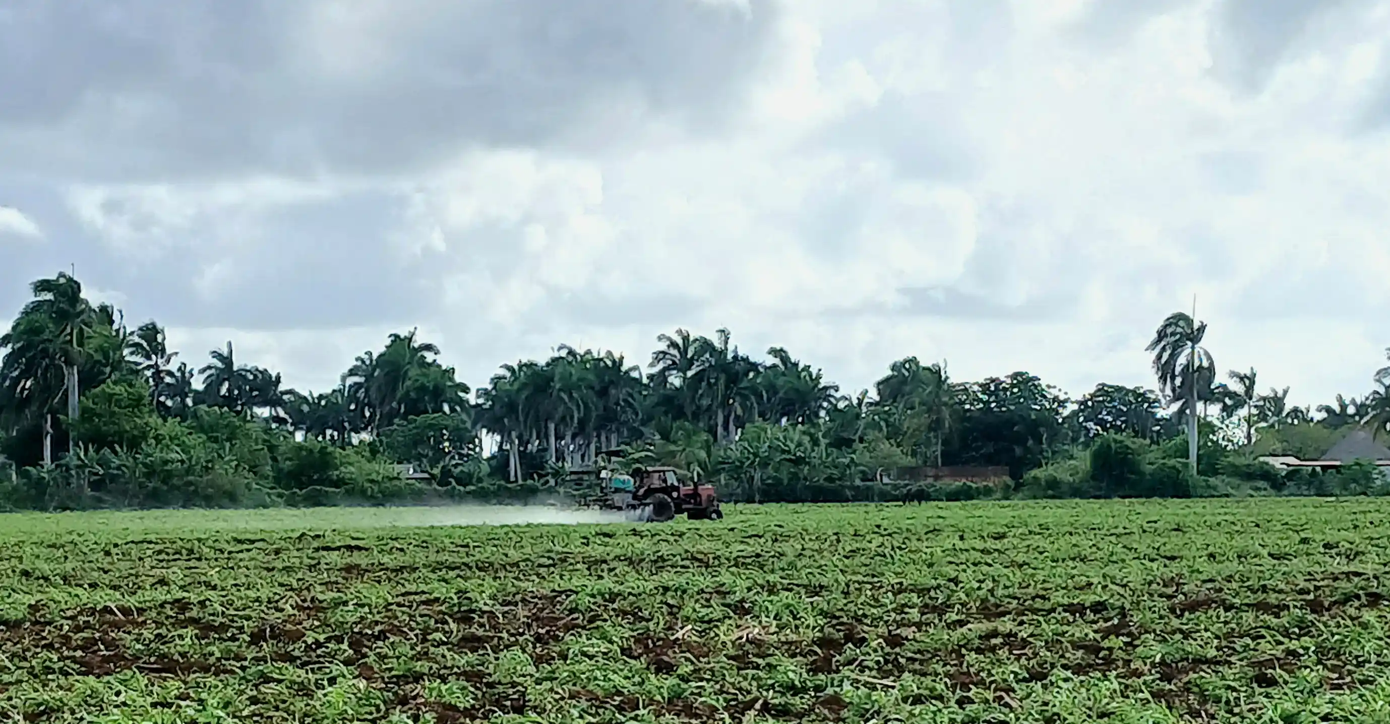 Una comunidad de productores que arriba a su cuarto año de creada
