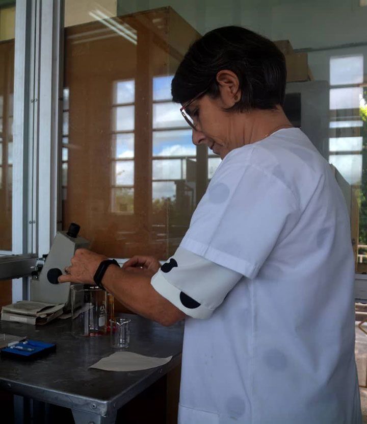 Desde Villa Clara equidad y dignidad para todas las mujeres