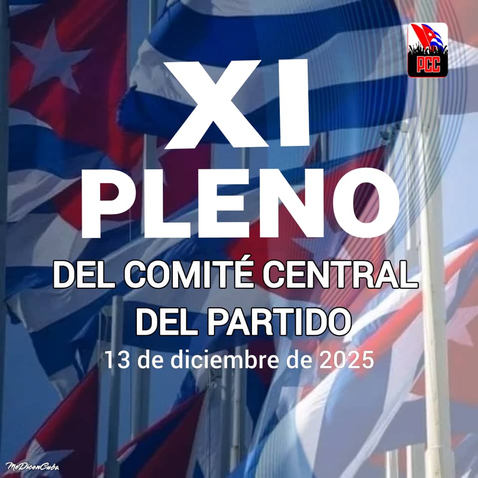  Uno de los temas que han transversalizado el debate del Partido es la recuperación del Sistema Eléctrico Nacional. Foto: José M. Correa 