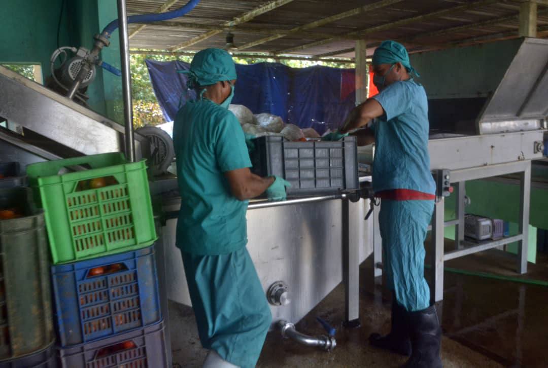 2025, villaclareños, vencedores de dificultades y obstáculos