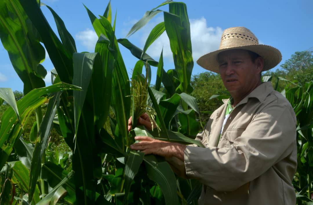 2025, villaclareños, vencedores de dificultades y obstáculos