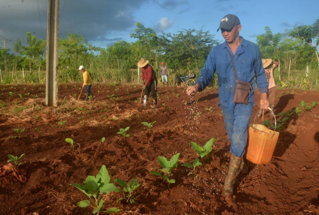2025, villaclareños, vencedores de dificultades y obstáculos