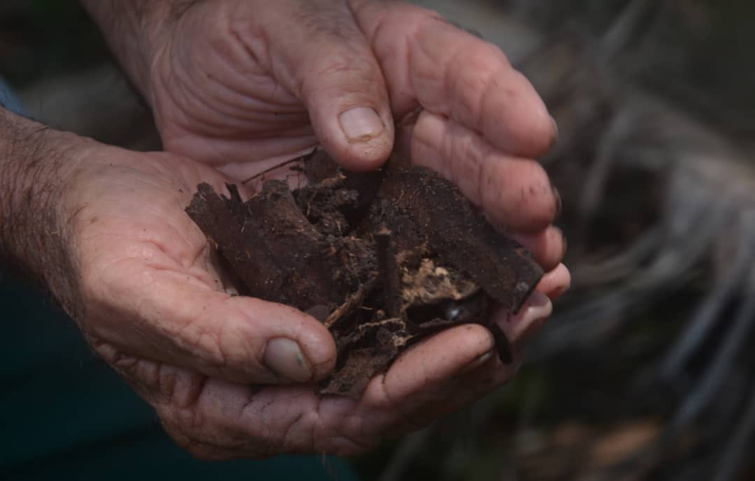 Villa Clara conjugó el valor y el amor