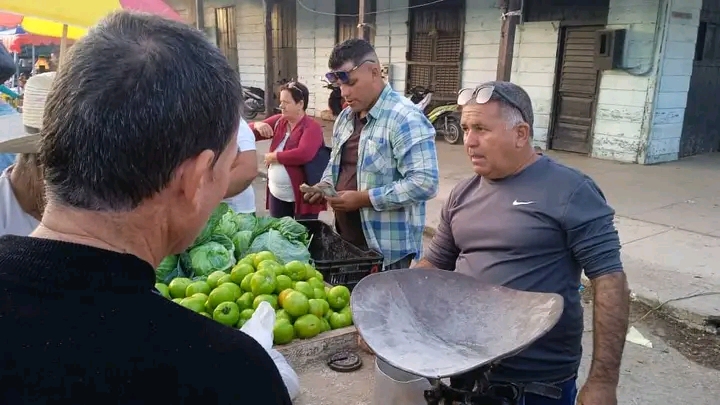 1736705991283 Recorre gobernadora villaclareña feria agropecuaria en Camajuaní