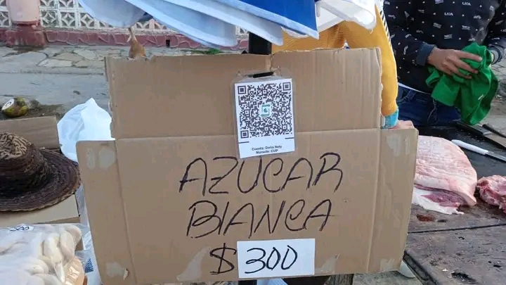 1736706066109 Recorre gobernadora villaclareña feria agropecuaria en Camajuaní