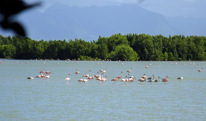 Cuba reafirma su compromiso con el enfrentamiento al cambio climático