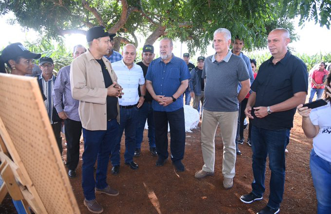 Constata Díaz-Canel avances productivos en Ciego de Ávila