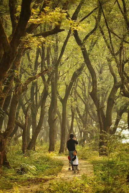Día mundial del medio ambiente, un canto a la vida