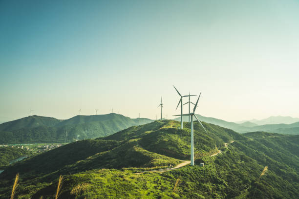 Día mundial del medio ambiente, un canto a la vida