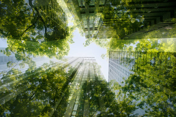 Día mundial del medio ambiente, un canto a la vida