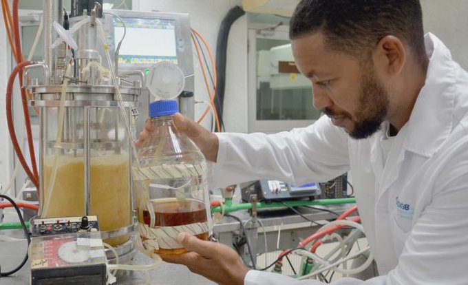 Para la producción de biofármacos, un nuevo programa conjunto