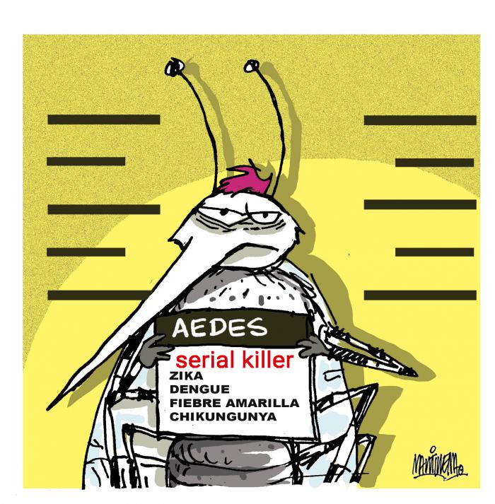 Para evitar arbovirosis, ojo con el mosquito