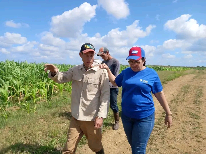 Intercambia gobernadora villaclareña con productores de arroz en Placetas