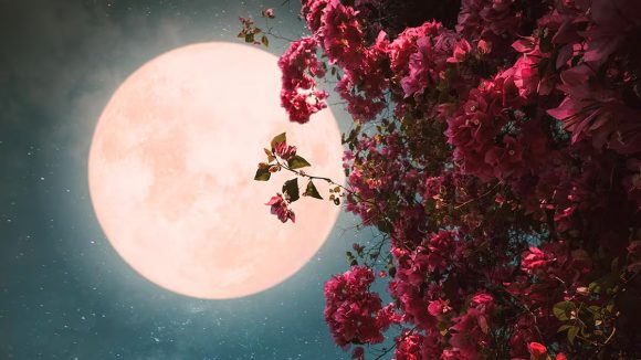 Lluvia de estrellas proveniente del cometa Halley y luna de flores: ¿Como ver los fenómenos astronómicos de Mayo?