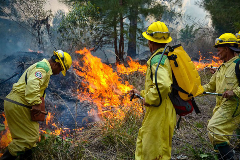 Inaugurarán hoy Semana Nacional de Protección contra Incendios