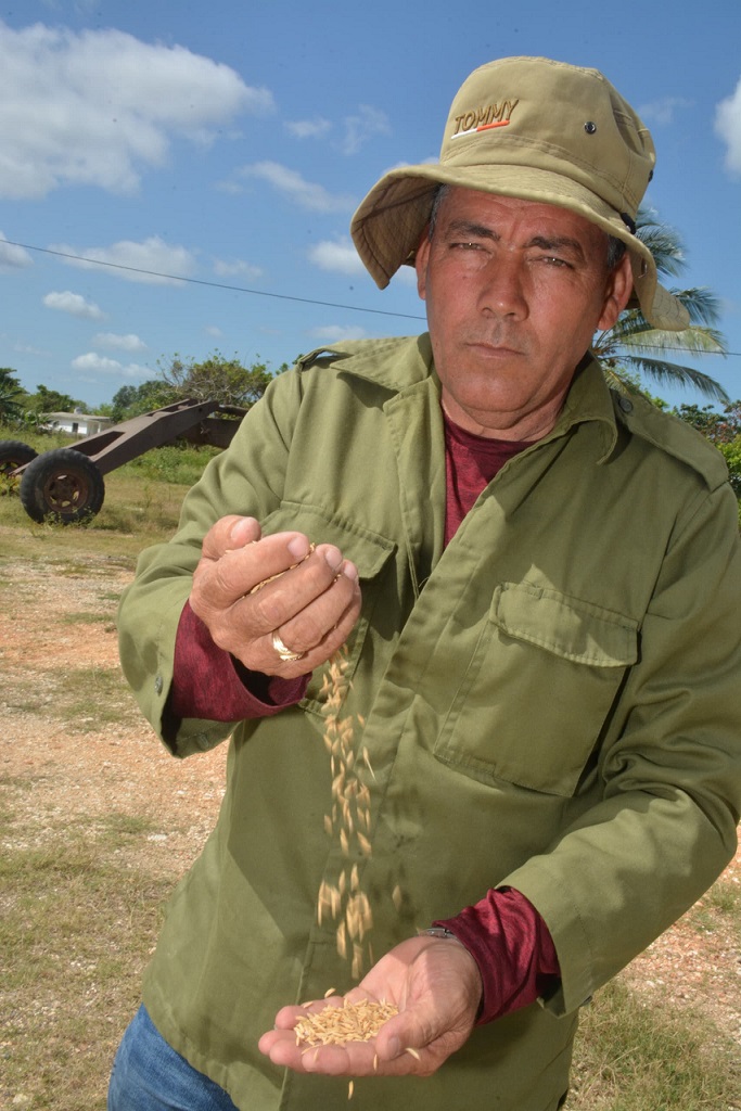 Un arrocero emprendedor