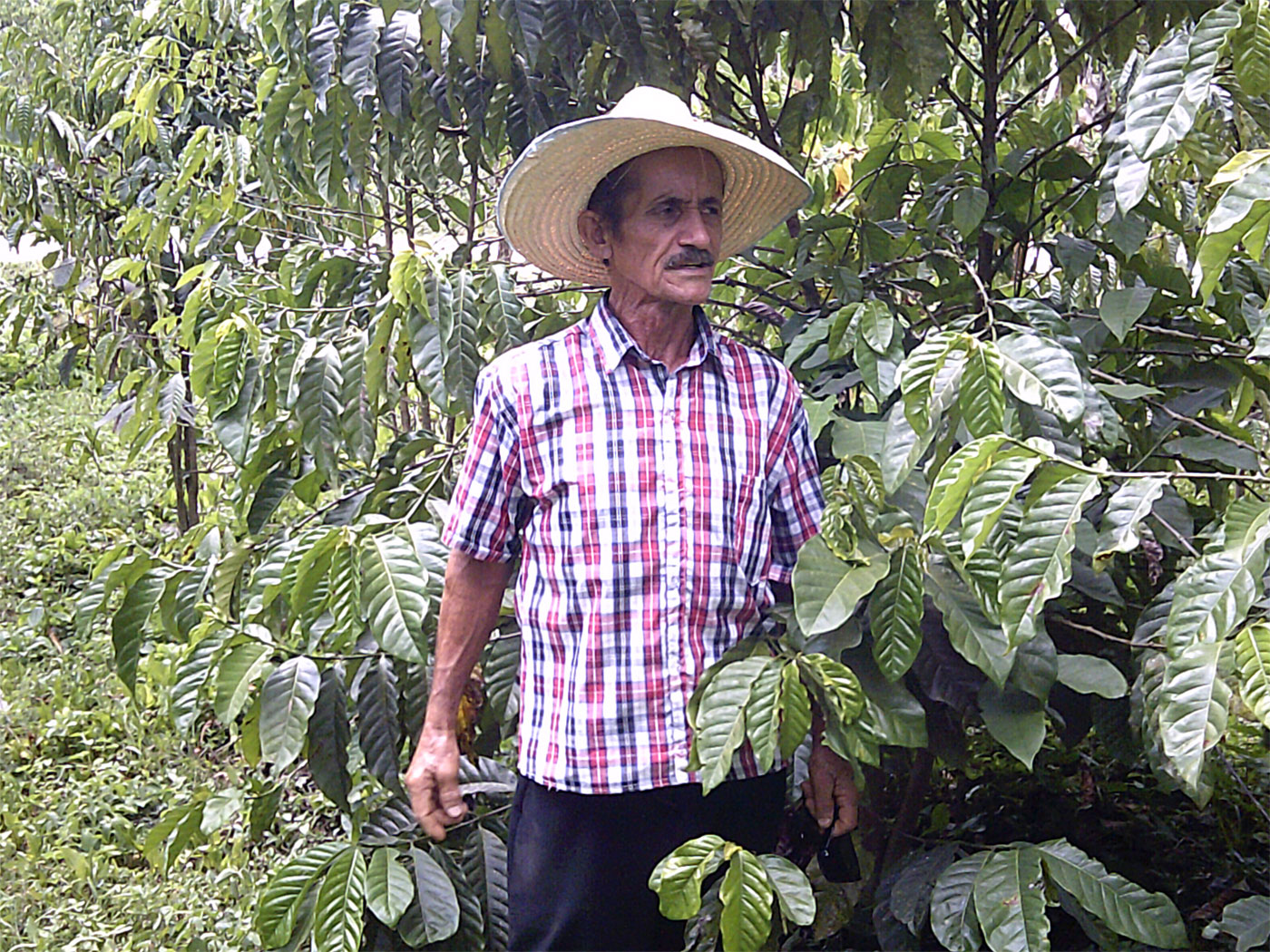 Estancia en la serranía