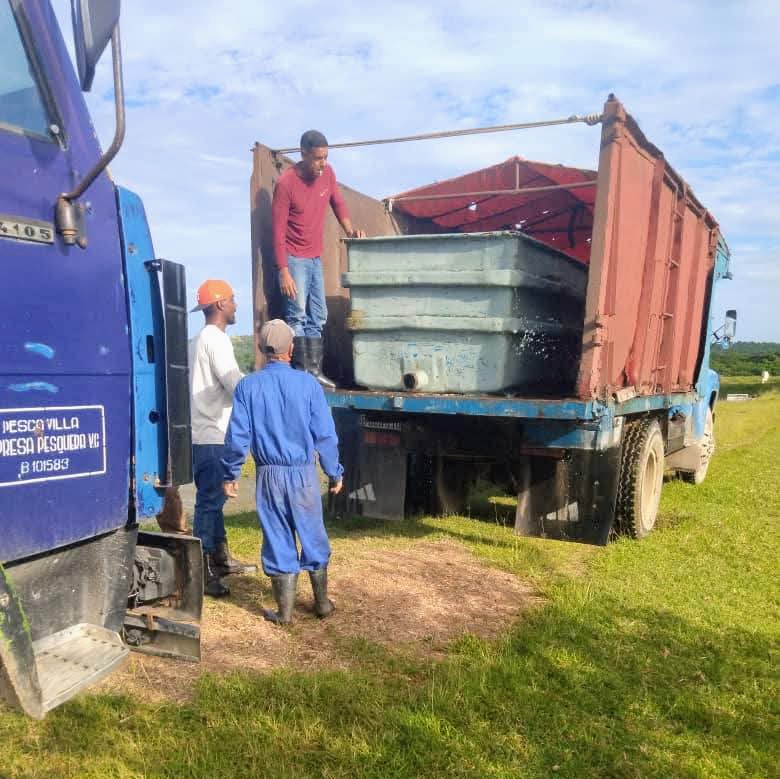 Semillas en el agua: así siembra el futuro la Empresa "Pescavilla"