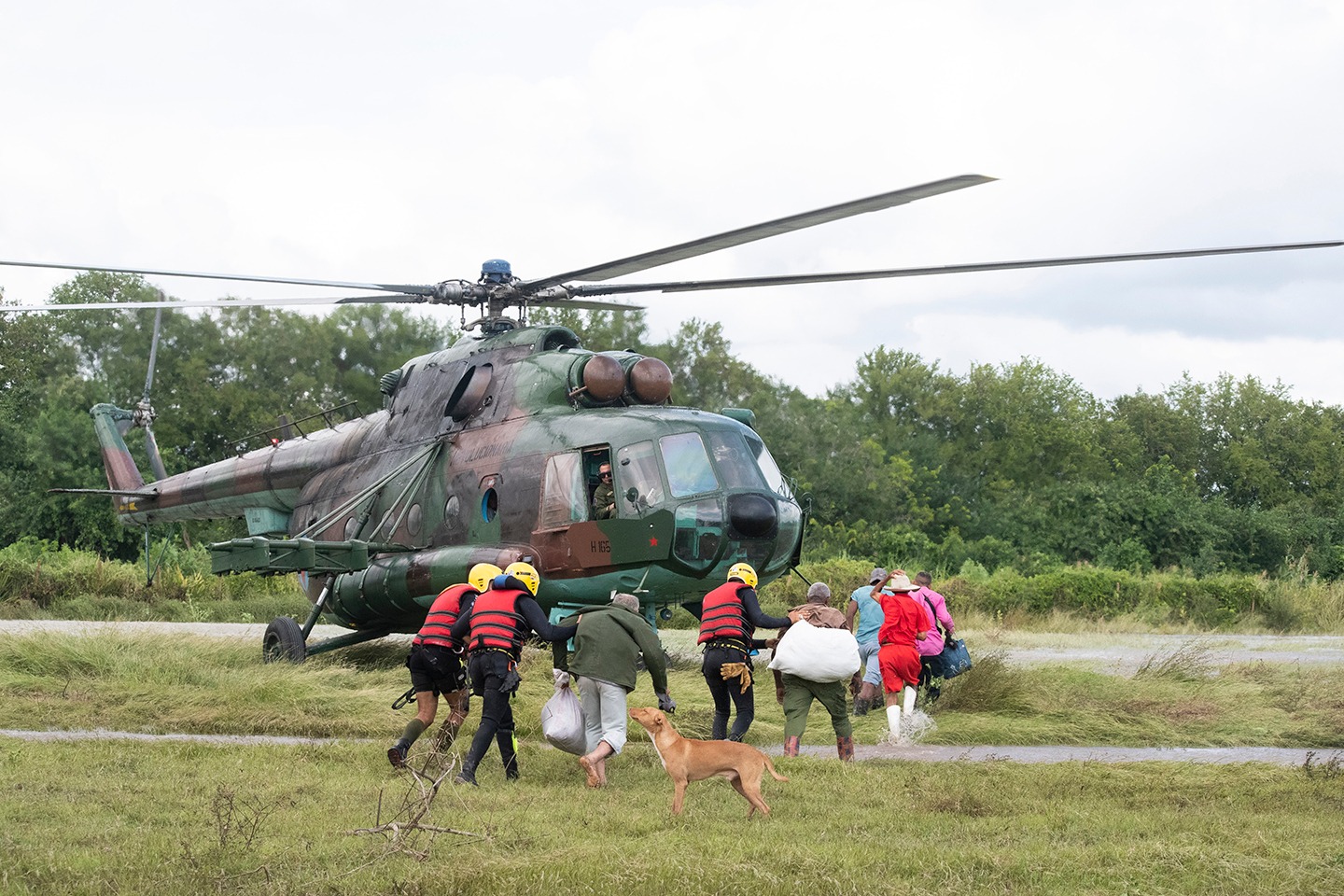 La Isla de la solidaridad, la isla del amor