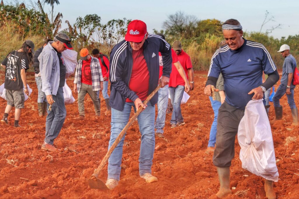 Como el Che, siempre hay espacio para el trabajo voluntario