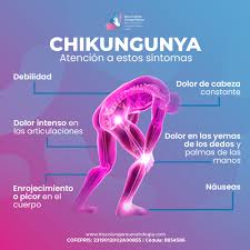 El chikungunya: del dolor y otras secuelas