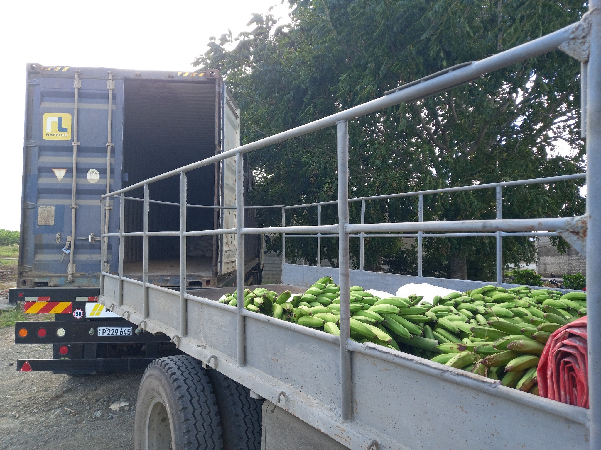 Tabacaleros de Villa Clara envían ayuda solidaria al oriente cubano