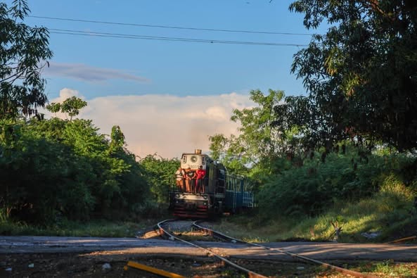 Silbido que despierta la Universidad