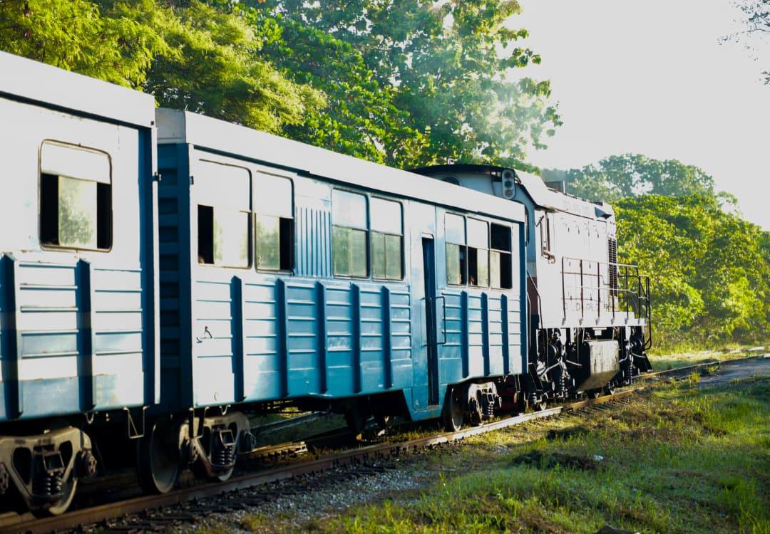 Silbido que despierta la Universidad