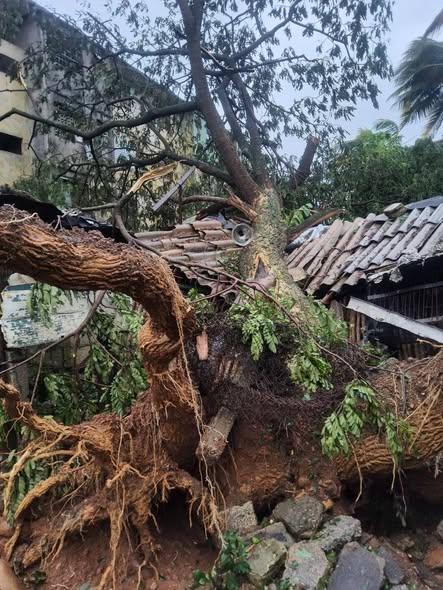 Foto: Tomada del perfil de Facebook de Gabriel Fornaris